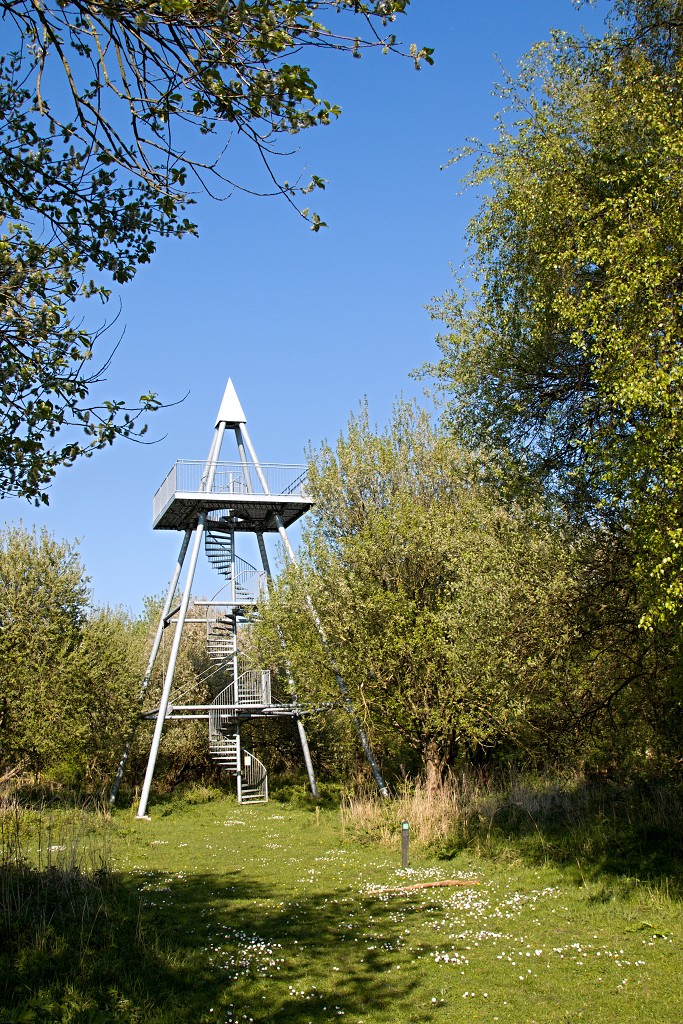 slikken van de heen natuurgebied natuur hdr Konikspaarden Uitkijktoren schotse hooglanders natuurmonumenten wisenten
